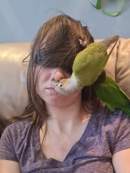 Минута отдыха Пушистые проказники, которые явно не собираются быть примерными Животные  Минута отдыха Пушистые проказники, которые явно не собираются быть примерными Животные