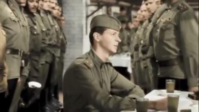 Минута отдыха Между трезвостью и теневой экономикой: парадоксы военного запрета на алкоголь История 