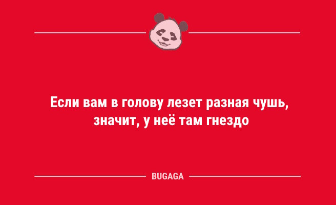 Минута отдыха Анекдотов пост: «Замечено, в конторах с халявным кофе…» (13 шт) Анекдоты  