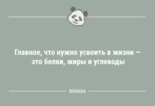 Минута отдыха Свежий сборник анекдотов: «Главное, что нужно усвоить в жизни…» (10 шт) Анекдоты 