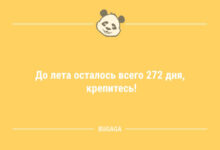 Минута отдыха Короткие анекдоты: «До лета осталось всего…» (9 шт) Анекдоты 