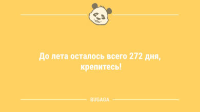 Минута отдыха Короткие анекдоты: «До лета осталось всего…» (9 шт) Анекдоты 