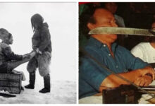 Минута отдыха 18 редких исторических кадров, переживших своё время Интересное 