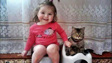 Минута отдыха Мем №1547805 Анекдоты 