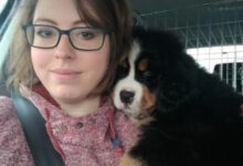 Минута отдыха Истории обретённого счастья в виде пёселей на снимках Животные 