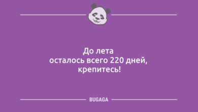 Минута отдыха Пятница, анекдоты: «До лета осталось…» (12 шт) Анекдоты 
