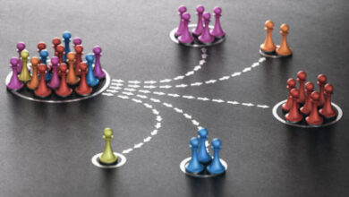 Минута отдыха Что такое сегрегация? Интересное 