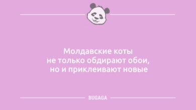 Минута отдыха Анекдоты в пятницу: «Он подарил мне 101 розу…» (10 шт) Анекдоты  Минута отдыха Анекдоты в пятницу: «Он подарил мне 101 розу…» (10 шт) Анекдоты