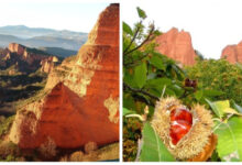 Минута отдыха Руины Лас-Медулас, бывшие когда-то золотой бездной Римской империи Интересное 