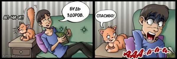 Минута отдыха Мир полон сюрпризов и фактов, которые вас поразят Интересное  Минута отдыха Мир полон сюрпризов и фактов, которые вас поразят Интересное
