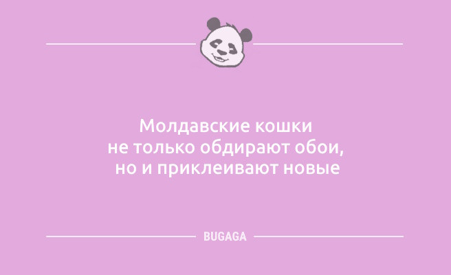 Минута отдыха Анекдоты в пятницу: «Он подарил мне 101 розу…» (10 шт) Анекдоты  