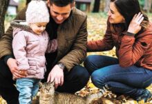 Минута отдыха Семейная налоговая выплата начнёт действовать в 2026 году Соцпакет 