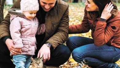 Минута отдыха Семейная налоговая выплата начнёт действовать в 2026 году Соцпакет  Минута отдыха Семейная налоговая выплата начнёт действовать в 2026 году Соцпакет