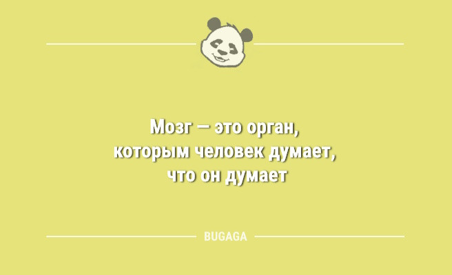 Минута отдыха Анекдоты в середине недели: «Взрослая жизнь — это…» (9 шт) Анекдоты  