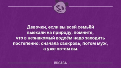 Минута отдыха Анекдотов пост: «Девочки, если вы всей семьёй выехали на природу…» (9 фото) Анекдоты 