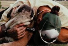 Минута отдыха «Я потерял лучшего друга». Хэмилтон сообщил о смерти своего пса Роско Спорт 