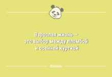Минута отдыха Анекдоты в середине недели: «Взрослая жизнь — это…» (9 шт) Анекдоты 