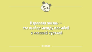 Минута отдыха Анекдоты в середине недели: «Взрослая жизнь — это…» (9 шт) Анекдоты 