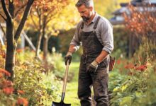 Минута отдыха Время стратегических перемещений в саду Сад огород 