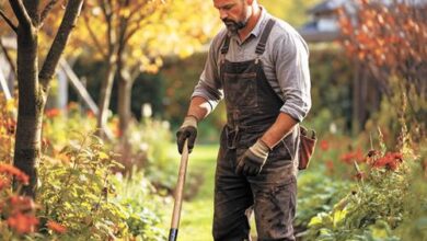 Минута отдыха Время стратегических перемещений в саду Сад огород  Минута отдыха Время стратегических перемещений в саду Сад огород