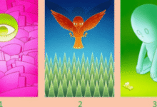 Минута отдыха Выберите картинку и получите духовное послание! Интересное 