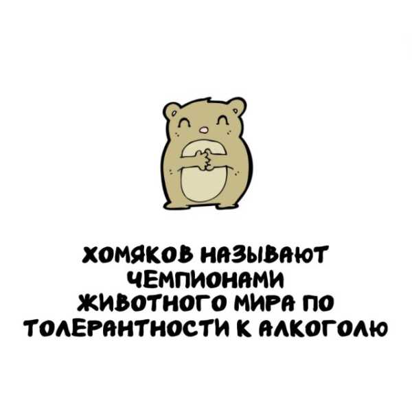 Минута отдыха Интересные короткие факты на все случаи жизни Интересное Минута отдыха Интересные короткие факты на все случаи жизни Интересное