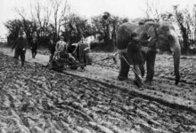 Минута отдыха Немного интересных фактов про неожиданные повороты жизненных реалий Интересное 