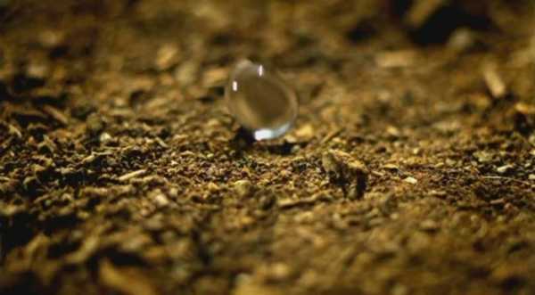 Минута отдыха Несколько удивительных фактов, которые звучат как фантастика, но это правда Интересное Минута отдыха Несколько удивительных фактов, которые звучат как фантастика, но это правда Интересное