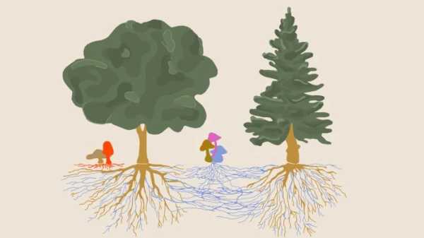 Минута отдыха Несколько удивительных фактов, которые звучат как фантастика, но это правда Интересное Минута отдыха Несколько удивительных фактов, которые звучат как фантастика, но это правда Интересное