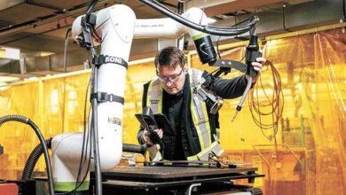 Минута отдыха Коботы для страны Общество Минута отдыха Коботы для страны Общество