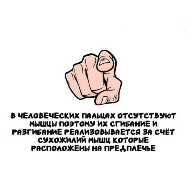 Минута отдыха Интересные короткие факты на все случаи жизни Интересное Минута отдыха Интересные короткие факты на все случаи жизни Интересное