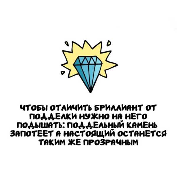 Минута отдыха Интересные короткие факты на все случаи жизни Интересное Минута отдыха Интересные короткие факты на все случаи жизни Интересное