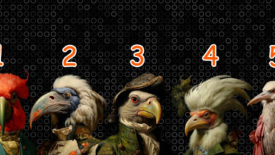 Минута отдыха Какие неочевидные подарки судьбы ждут вас? | Выберите попугая! Интересное 