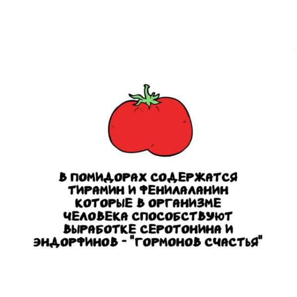 Минута отдыха Интересные короткие факты на все случаи жизни Интересное Минута отдыха Интересные короткие факты на все случаи жизни Интересное