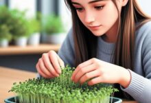 Минута отдыха Весна на подоконнике Сад огород 