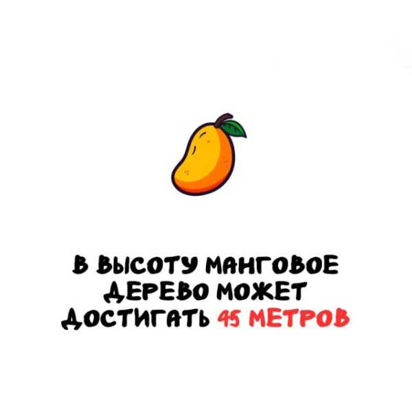 Минута отдыха Интересные короткие факты на все случаи жизни Интересное Минута отдыха Интересные короткие факты на все случаи жизни Интересное