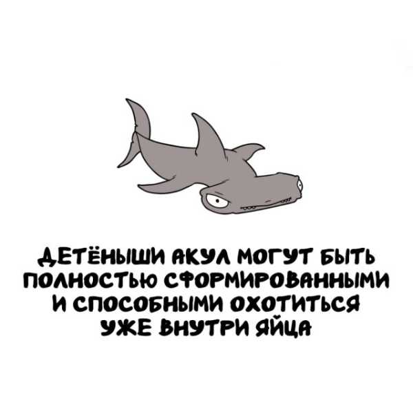 Минута отдыха Интересные короткие факты на все случаи жизни Интересное Минута отдыха Интересные короткие факты на все случаи жизни Интересное