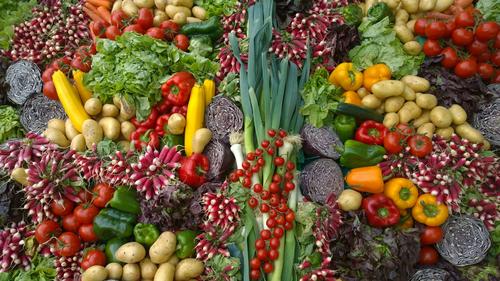 Минута отдыха В России стоимость фруктов и овощей за неделю выросла почти на 2% Общество Минута отдыха В России стоимость фруктов и овощей за неделю выросла почти на 2% Общество