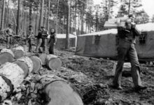 Минута отдыха Комсомольцы – беспокойные сердца? История 