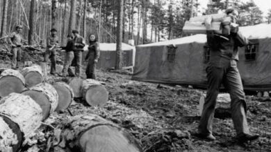 Минута отдыха Комсомольцы – беспокойные сердца? История Минута отдыха Комсомольцы – беспокойные сердца? История