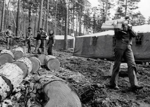 Минута отдыха Комсомольцы – беспокойные сердца? История 