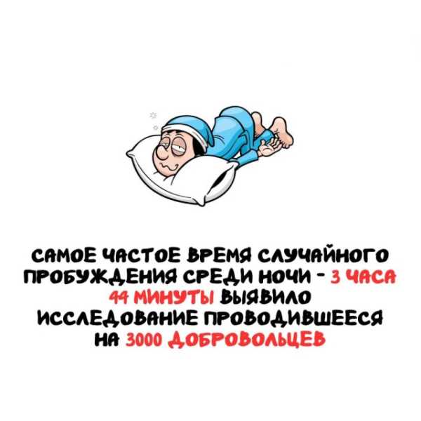 Минута отдыха Интересные короткие факты на все случаи жизни Интересное Минута отдыха Интересные короткие факты на все случаи жизни Интересное