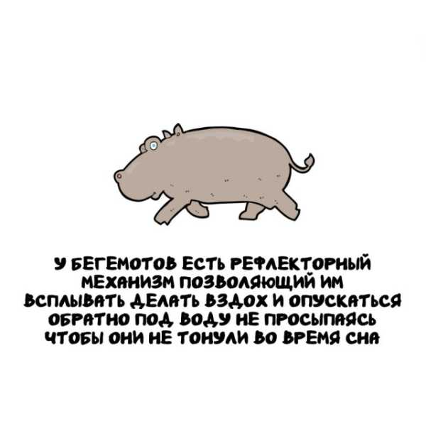 Минута отдыха Интересные короткие факты на все случаи жизни Интересное Минута отдыха Интересные короткие факты на все случаи жизни Интересное