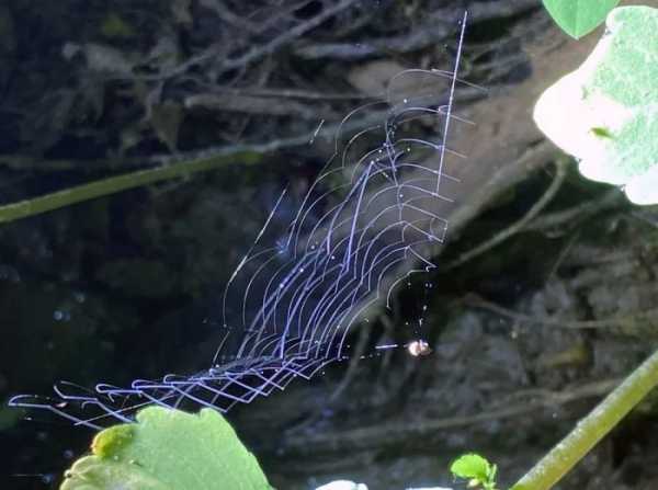 Минута отдыха Немного интересных фактов про неожиданные повороты жизненных реалий Интересное 