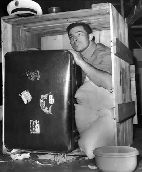 Минута отдыха История мужчины, который отправил себя почтой из Австралии в Англию Интересное 