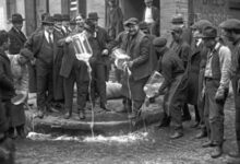 Минута отдыха Несколько удивительных фактов, которые звучат как фантастика, но это правда Интересное 