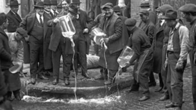 Минута отдыха Несколько удивительных фактов, которые звучат как фантастика, но это правда Интересное Минута отдыха Несколько удивительных фактов, которые звучат как фантастика, но это правда Интересное