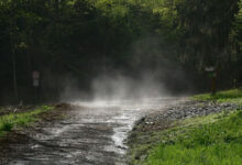 Минута отдыха Что такое петрикор и откуда он берется? Интересное 