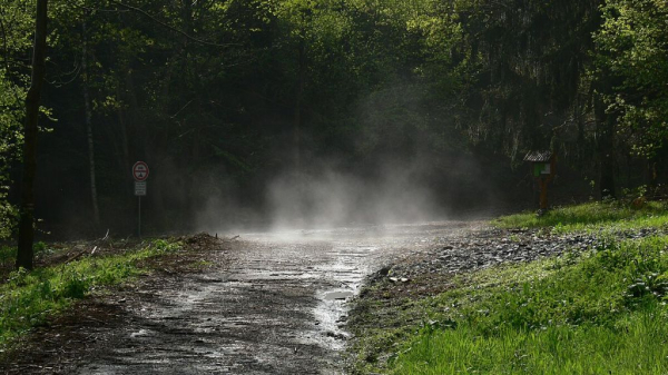 Минута отдыха Что такое петрикор и откуда он берется? Интересное 