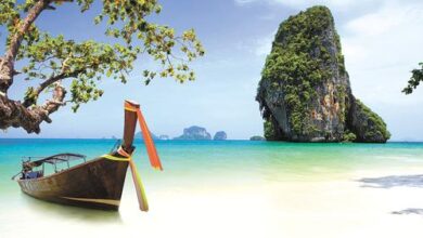 Минута отдыха В Таиланде стали «жестить» путешественников на границе Туризм 